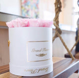 Infinity Signature Round (20+ colors)