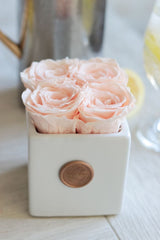 Infinity Camille Vase Special (10+ colors)