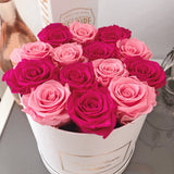 Infinity Signature Round Plus (20+ colors)