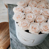 Infinity Luxe Round Special (20+ colors)