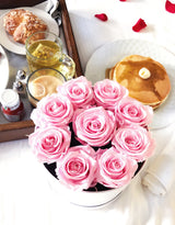 Infinity Signature Round (20+ colors)