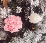 The One Fleur (20+ colors)