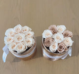 Blush Mini Etched Special