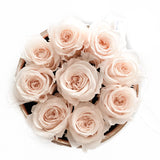 Blush Mini Etched Special