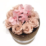 Mini Nude-Pink Hydrangeas