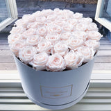 Infinity Grandeur Round (SOLD OUT)