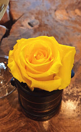 The One Fleur (20+ colors)