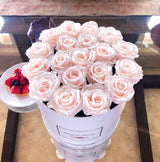 Infinity Luxe Round Special (20+ colors)