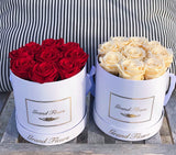 Infinity Signature Round (20+ colors)