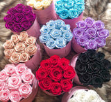 Infinity Signature Round (20+ colors)