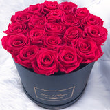 Infinity Luxe Round Special (20+ colors)