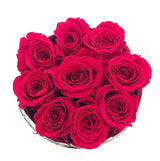 Etched Infinity Mini Round (15+ colors)