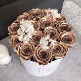 Infinity Luxe Round Special (20+ colors)