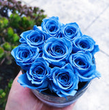 Etched Infinity Mini Round (15+ colors)