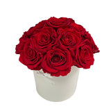 Le Cherie Dôme Special *limited colors