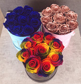 Infinity Signature Round (20+ colors)