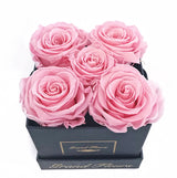 Infinity Deluxe Large Fleurs (15+ colors)