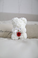 White Baby Bear Special