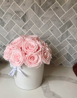 Le Cherie Dôme Special *limited colors