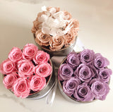 Wisteria Etched Round Special