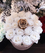 Infinity Luxe Round Special (20+ colors)