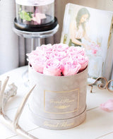 Infinity Signature Round (20+ colors)