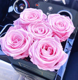 Infinity Deluxe Large Fleurs (15+ colors)