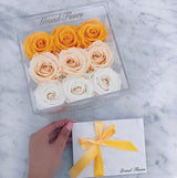 Cristaux Cloud 9 (20+ colors)