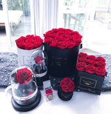 Infinity Signature Round (20+ colors)