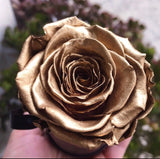 The One Fleur (20+ colors)