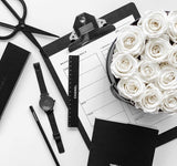 Infinity Signature Round Plus (20+ colors)