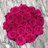 Infinity Luxe Round Special (20+ colors)