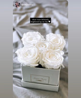 Infinity Deluxe Large Fleurs (15+ colors)