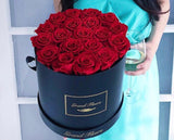 Infinity Luxe Round Special (20+ colors)