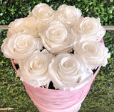 Infinity Signature Round (20+ colors)