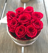 Etched Infinity Mini Round (15+ colors)