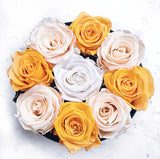 Infinity Signature Round (20+ colors)