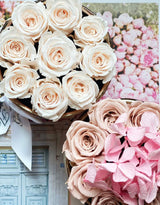 Blush Mini Etched Special