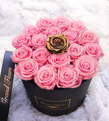 Infinity Luxe Round Special (20+ colors)