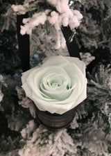 The One Fleur (20+ colors)