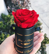 The One Fleur (20+ colors)