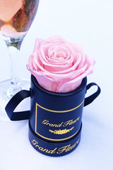 The One Fleur (20+ colors)