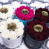 Infinity Signature Round (20+ colors)