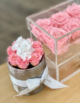 Light Pink Mini Etched