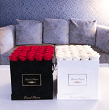 Infinity Luxe Square (12+ colors)