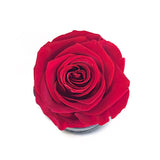 The One Fleur (20+ colors)