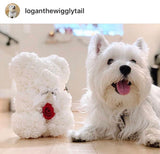 Baby Fleur Bear (10+ colors)