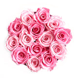 Infinity Signature Round Plus (20+ colors)