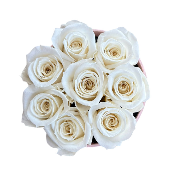 White Petite Round (2 left)