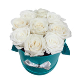 White and Sparkly White Mix (1 left)